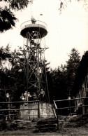 G9833 - Geising - Kohlhaukuppe Turm Aussichtsturm - Foto H. Gürtler Dippoldiswalde - Geising