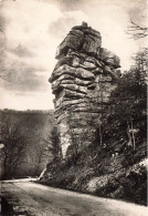 FRANCE - En Morvan - Vue Sur La Roche Du Chien - Carte Postale - Other & Unclassified