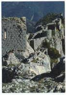 CPSM / CPM 10.5 X 15 Prestige LANGUEDOC Ruines D'un Château Cathare Sur Une Crête ( Château De Queribus ??? ) - Languedoc-Roussillon