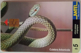 Uruguay Antel $5 Chip Card - Culebra Arboricola - Uruguay