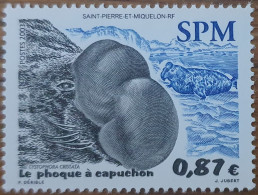 St.Pierre And Miquelon / Sea Animals - Other & Unclassified