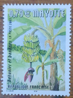 France / Mayotte / Market And Fruits / Banannas - Andere & Zonder Classificatie