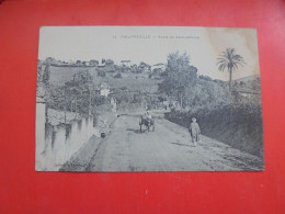 CPA Algérie Philippeville - Route De Saint Antoine - Skikda (Philippeville)