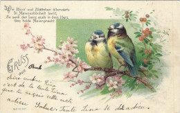 Gruss Aus Buchs 1901 Meise Mésange Titmouse - Buchs