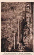 FRANCE - L'Aven Armand - Dans La Forêt Vierge - Les Aiguilles Géantes - Carte Postale Ancienne - Autres & Non Classés