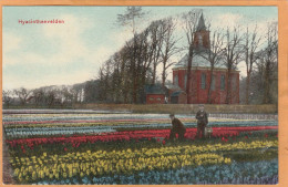 Sassenheim Netherlands 1908 Postcard - Sassenheim