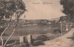Cartolina - Postcard /   Non Viaggiata  /  Pozzuoli - Lago Lucrino - Pozzuoli