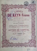 Usines De Keyn Frères - Bruxelles - Action De Capital - 1927 - Industrie