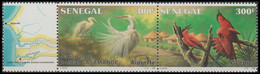 726/727** - Grande Aigrette / Grote Zilverreiger / Silberreiher / Great Egret / Casmerodius Albus - SÉNÉGAL - BUZIN - Cigognes & échassiers