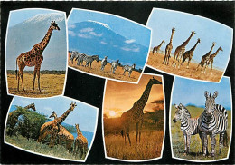Animaux - Girafes - Zèbres - Multivues - Edition East Africa - Carte Neuve - CPM - Voir Scans Recto-Verso - Girafes