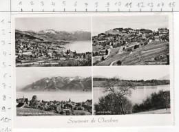 Souvenir De Chexbres - District De Lavaux-Oron - Chexbres