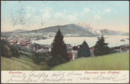 Panorama Vom Hochkogl, Gmunden, C.1905-10 - FE Brandt AK - Gmunden