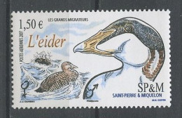 SPM 2007 PA  N° 87 ** Neuf MNH Superbe C 6 € Faune Oiseaux L' Eider Migrateurs Birds Fauna Animaux - Unused Stamps