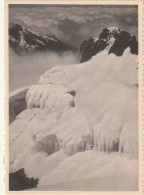 ***  CONGO   ***    CONGO - RUWENZORI :  La Pointe Hélène -  Glacier Neuve/unused  - Congo Belge