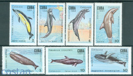 1984 Whales,humpback Wh,bottlenose Dolphin,false Killer Whale,Caribbean,2828,MNH - Ballenas