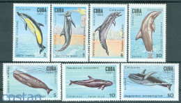 1984 Whales,humpback Wh,bottlenose Dolphin,false Killer Whale,Caribbean,2828,MNH - Walvissen