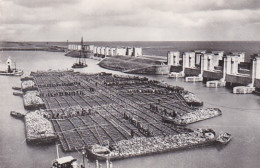 486756Zinkstuk Te Den Oever Tijdens Het Aanbrengen Van Zinksteen.  - Den Oever (& Afsluitdijk)