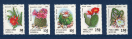 Russie, **, Yv 6052, 6053, 6054, 6055, 6056, Mi 363, 364, 365, 366, 367, SG 6461 à 6465, Cactus, - Sukkulenten