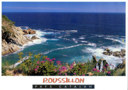 (66) ROUSSILLON  PAYS CATALAN  La Mer Méditerranée  (format 17x12 Carte Neuve ) - Roussillon