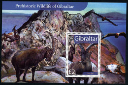 Gibraltar - Nº HB 81 2007 Fauna Prehistórica De Gibraltar Ibex Lujo - Gibraltar