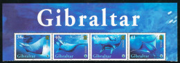 FAU1 Gibraltar  Nº 1152/55  2006 Serie Rayas   MNH - Gibraltar