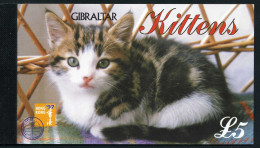 Gibraltar - Nº C 792 1997 Fauna Gatos Carnet 5 Pag. Con Sellos Nº 792/97 Lujo - Gibraltar