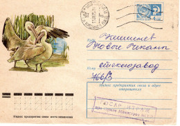 RUSSIA [USSR]: 1975 BIRD - PELICAN Used Postal Stationery Cover - Registered Shipping! - Stamped Stationery