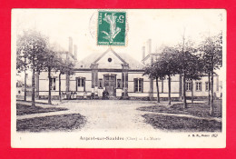 F-18-Argent Sur Sauldre-06Ph78  La Mairie, Petite Animation, Cpa BE - Argent-sur-Sauldre