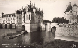 FRANCE - Chenonceaux - Le Château Et La Toux Des Marques - Carte Postale - Chenonceaux