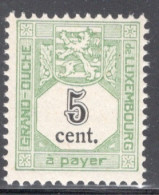 Luxembourg 1907 Single Numeral Stamps - Inscription "à Payer" In Unmounted Mint - Strafport