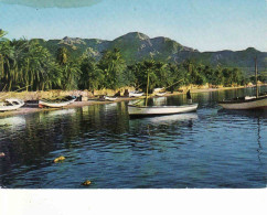 Jordan, Palm Beach Of AQABA, Used 1979 - Jordanië