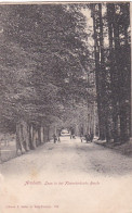 270360Arnhem, Laan In Het Klarenbeeksche Bosch. - Arnhem