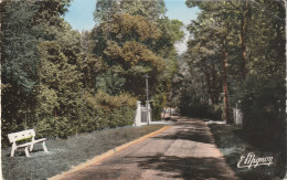 Saint Fargeau Ponthierry (77 - Seine Et Marne ) Avenue De La Gare - Saint Fargeau Ponthierry