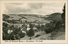 Geising-Altenberg (Erzgebirge) Geisingberg (Geising) Panorama Der Bergstadt 1955 - Geising