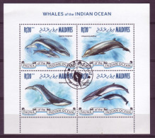 Asie - Maldives - 2013 - BLF - Whales Of The Indian Ocean - 6432 - Maldivas (1965-...)