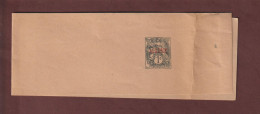 ALGÉRIE - EX. COLO. FRANÇAISE - Entier Postal Neuf - 1924/1930 - Bande De Journaux - Type Blanc 1c. Gris - 3 Scan - Other & Unclassified