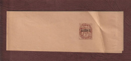 ALGÉRIE - EX. COLO. FRANÇAISE - Entier Postal Neuf - 1924/1930 - Bande De Journaux - Type Blanc 2c. Lilas-brun - 3 Scan - Autres & Non Classés