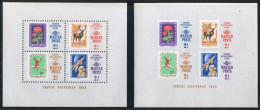 FL1/DEP2/FAU2  Hungría Hungary  HB 57  Dentada Y Sin Dentar  1965  MNH - Otros & Sin Clasificación