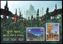 India HB 152 2017 Hermosa India MNH - Autres & Non Classés