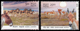 India 2470/71 2013 Fauna Burros Salvajes MNH - Otros & Sin Clasificación