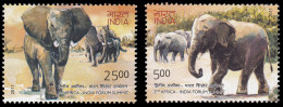 India 2334/35 2011 2 Cumbre Fórum África-India Fauna Elefante MNH - Andere & Zonder Classificatie