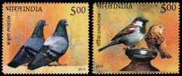 India 2260/61 2010 Fauna Pájaros MNH - Otros & Sin Clasificación