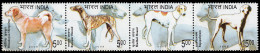 India 1835/38 2005 Fauna Perros MNH - Autres & Non Classés