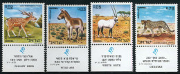 FAU2/S Israel 432/35 Fauna - Other & Unclassified