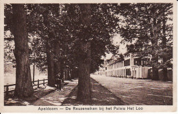 2769	34	Apeldoorn, De Reuzeneiken Bij Het Paleis Het Loo 1930 (zie Hoeken) - Apeldoorn