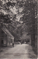 2769	195	Apeldoorn, Amersfoortsche Weg Met Echo Put 1913 (zie Hoeken) - Apeldoorn