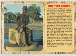WESTERN AUSTRALIA WA Paddy Hannan Memorial Statue KALGOORLIE Murray Views K81 Postcard C1980 - Kalgoorlie / Coolgardie