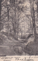 2776	15	Bloemendaal, Beek Boschvliet (poststempel 1903) - Bloemendaal