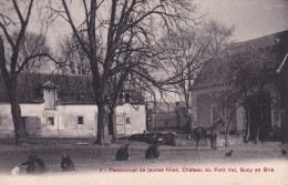 SUCY EN BRIE(PENSIONNAT DU PETIT VAL) ARBRE - Sucy En Brie