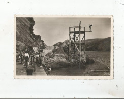 Delcampe - CERBERE (PYR OR) CARTE PHOTO LE PLONGEOIR - Cerbere